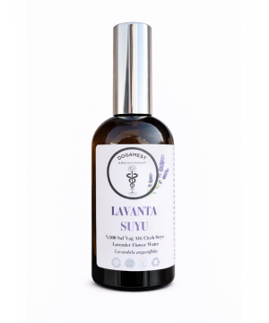 LAVANTA SUYU lavandula angustifolia 