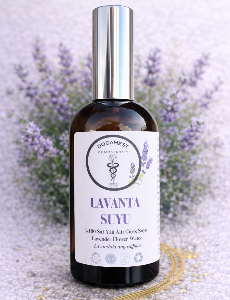 LAVANTA SUYU lavandula angustifolia 