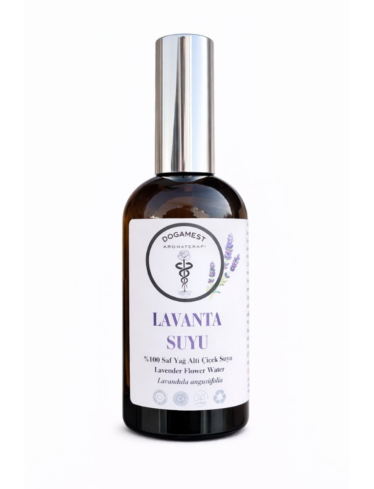 LAVANTA SUYU lavandula angustifolia 