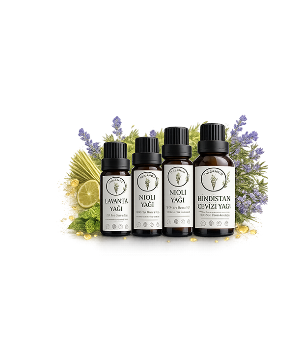 Doğanın İyileştirici GücüDoğanın İyileştirici Gücü